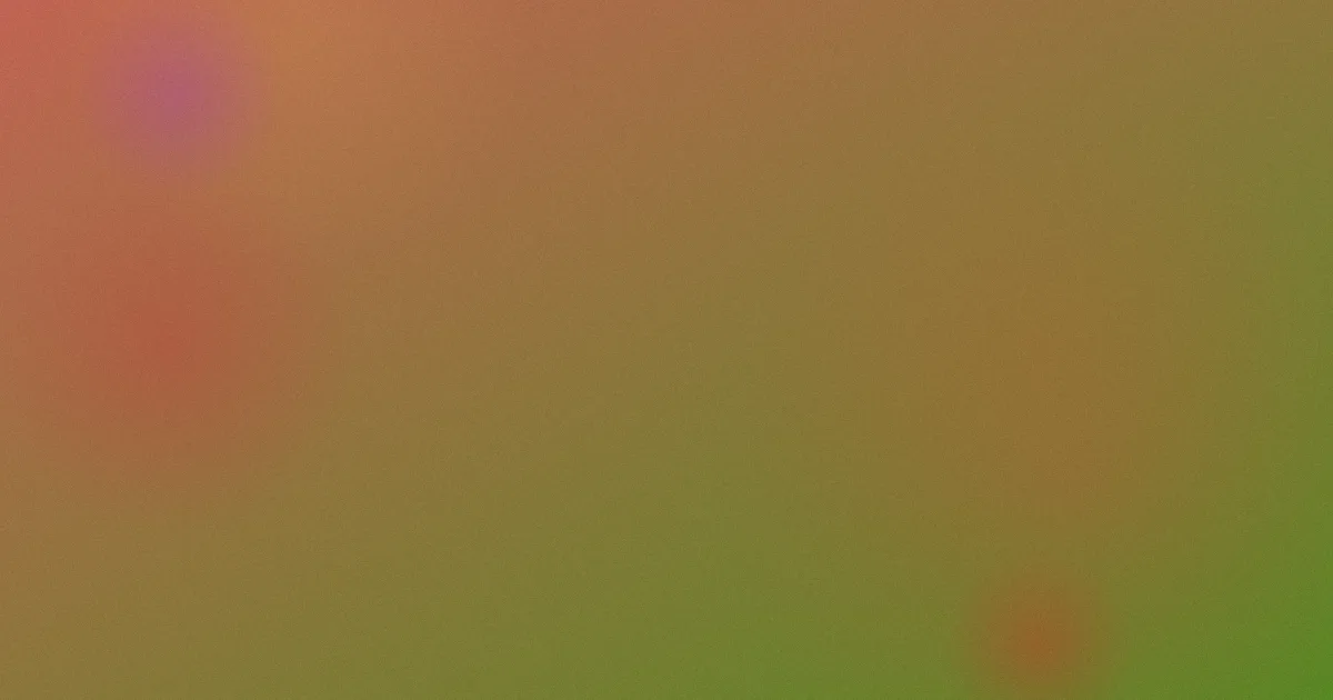 两个女人推荐：新手选择指南
